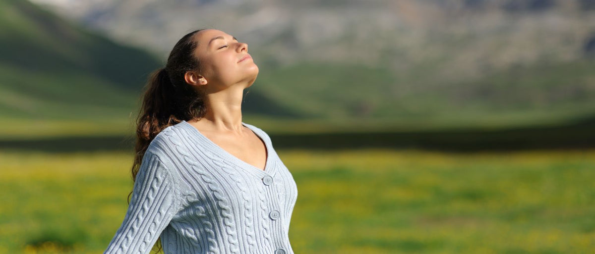 Ultra-pure ozone generators vs air purifiers: What’s the difference?