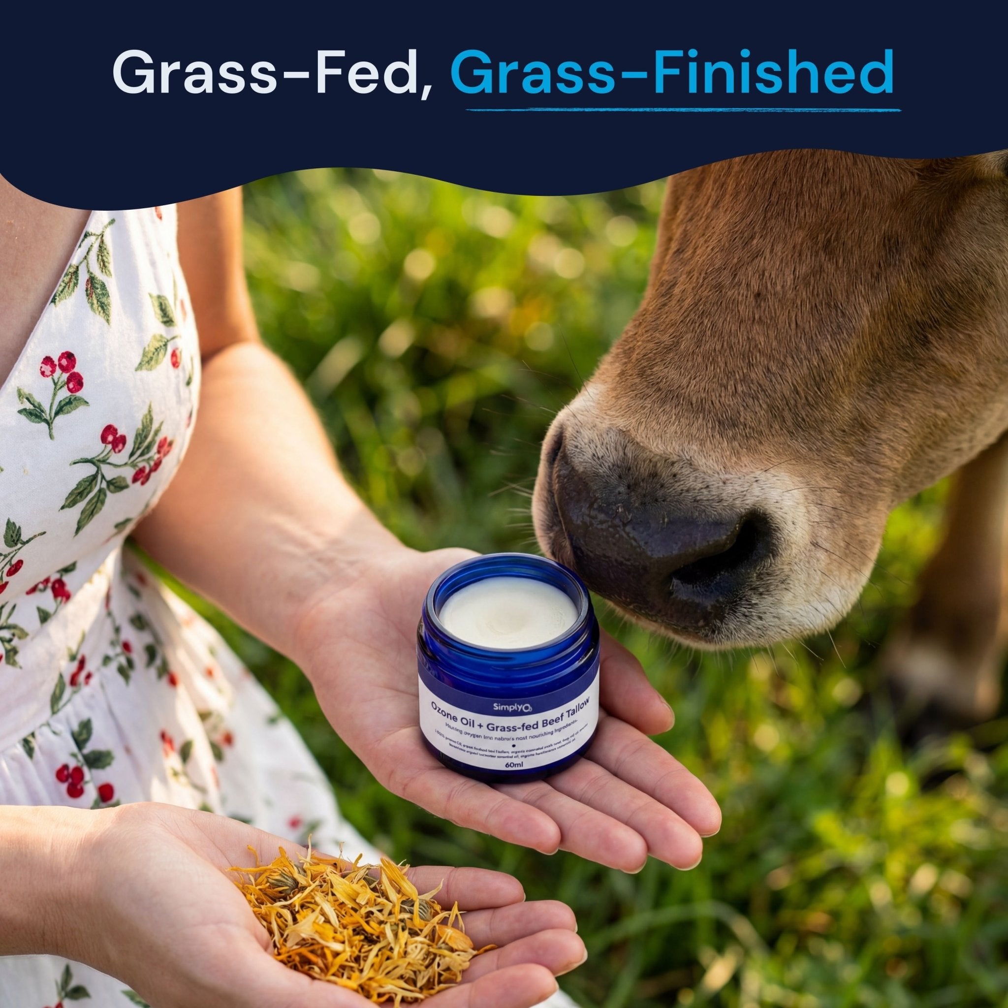 Beef Tallow + Ozone Oil Balm - Simply O3